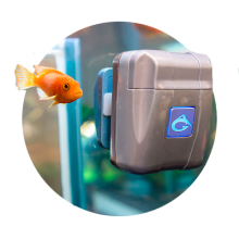 Роботы для чистки аквариумов